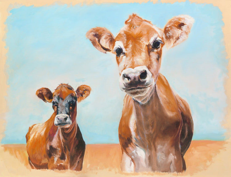 Jersey Cows