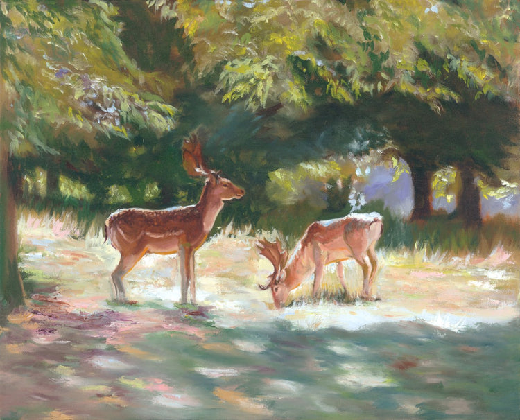 Deer at Charlecote