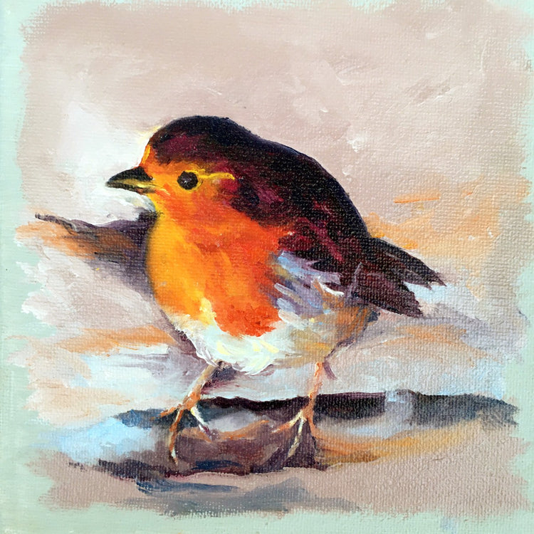 Winter Robin on Pastel Background