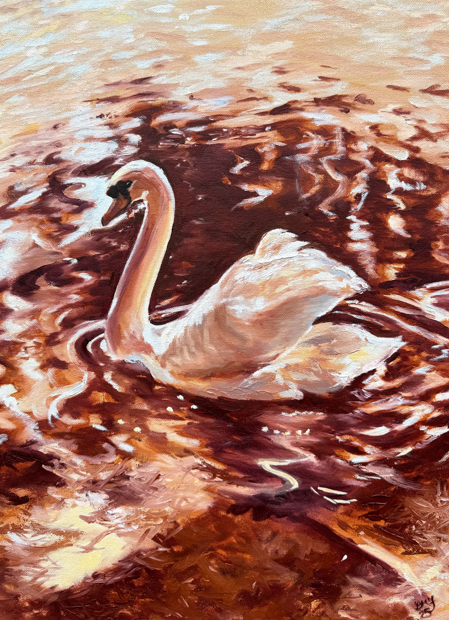 Painting of a swan swimming in the River Avon in Stratford-Upon-Avon with ripples