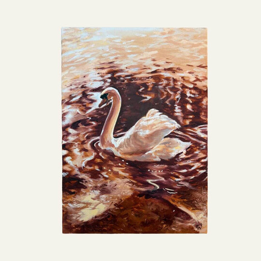 An original oil painting of a white swan swimming in reflective brown and gold water, centered on a light cream background.