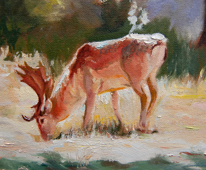 Deer in Sunlight, Charlecote Park - Original Oil Painting - lorrainefield