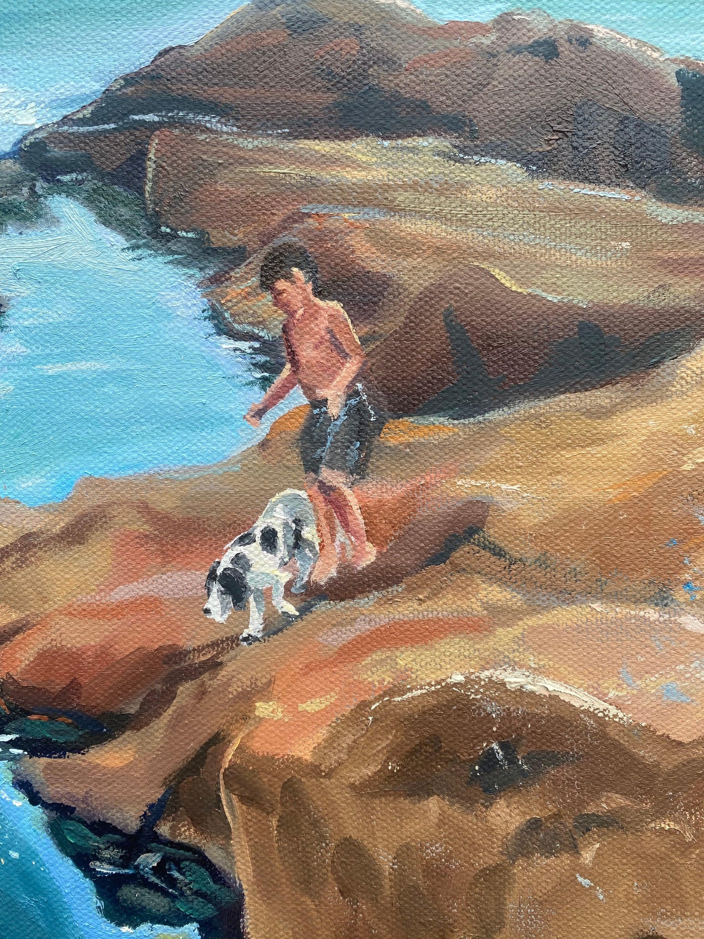Rockpools, Rinsey - lorrainefield