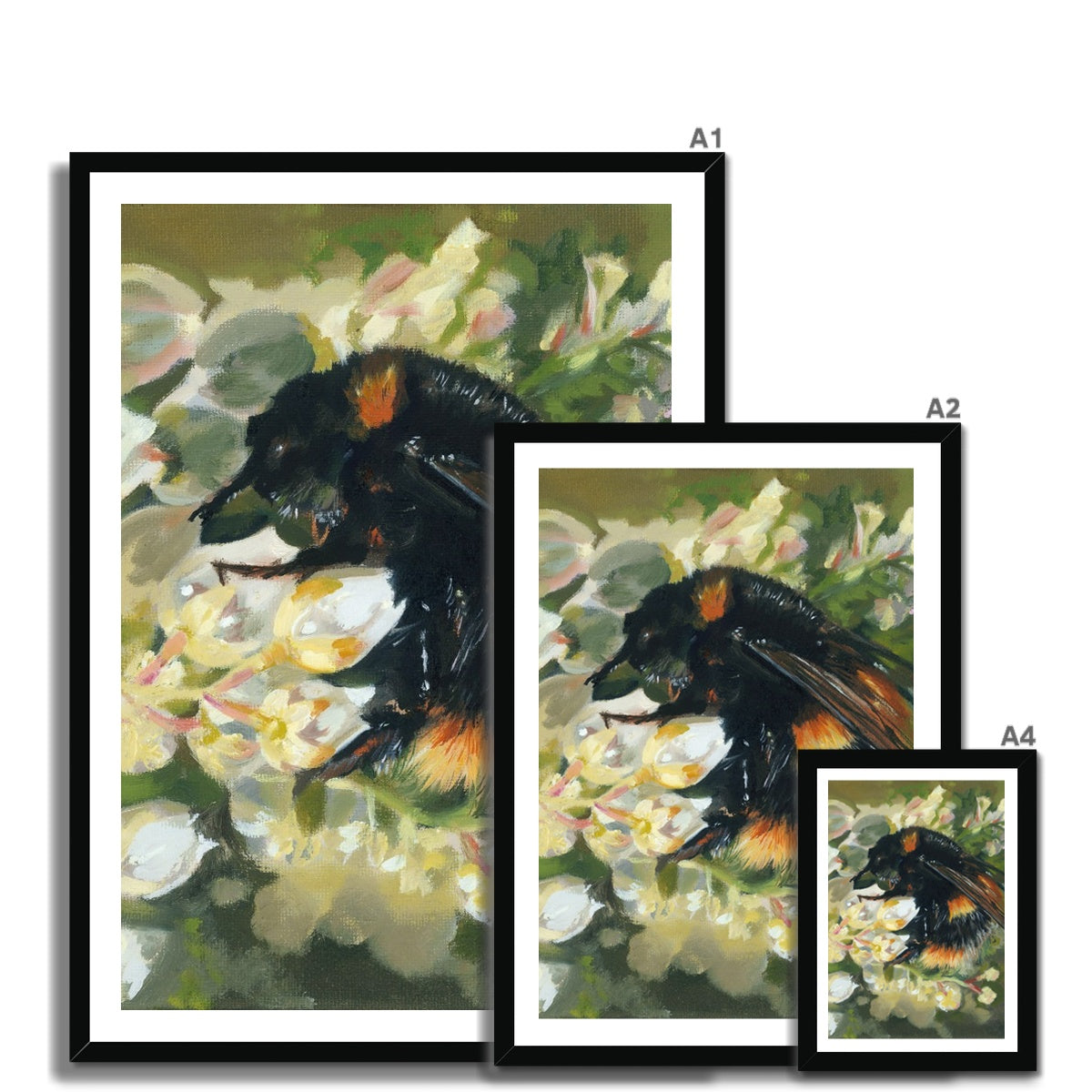 Bee on Honeysuckle Fine Art Print - lorrainefield