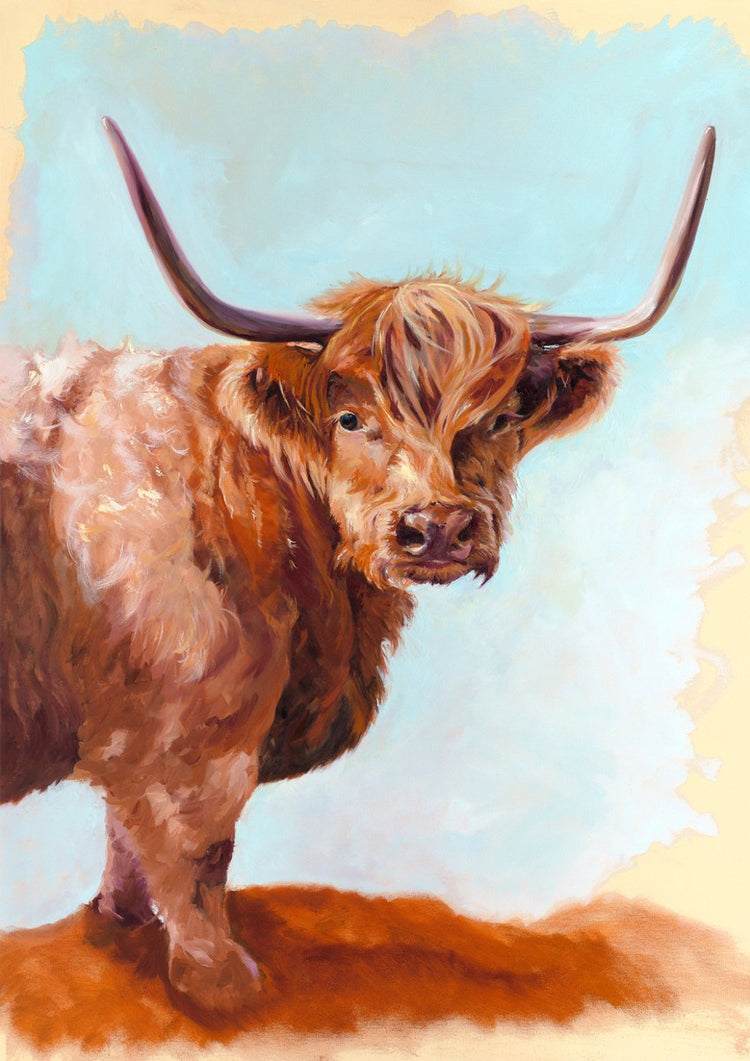 Highland Cow