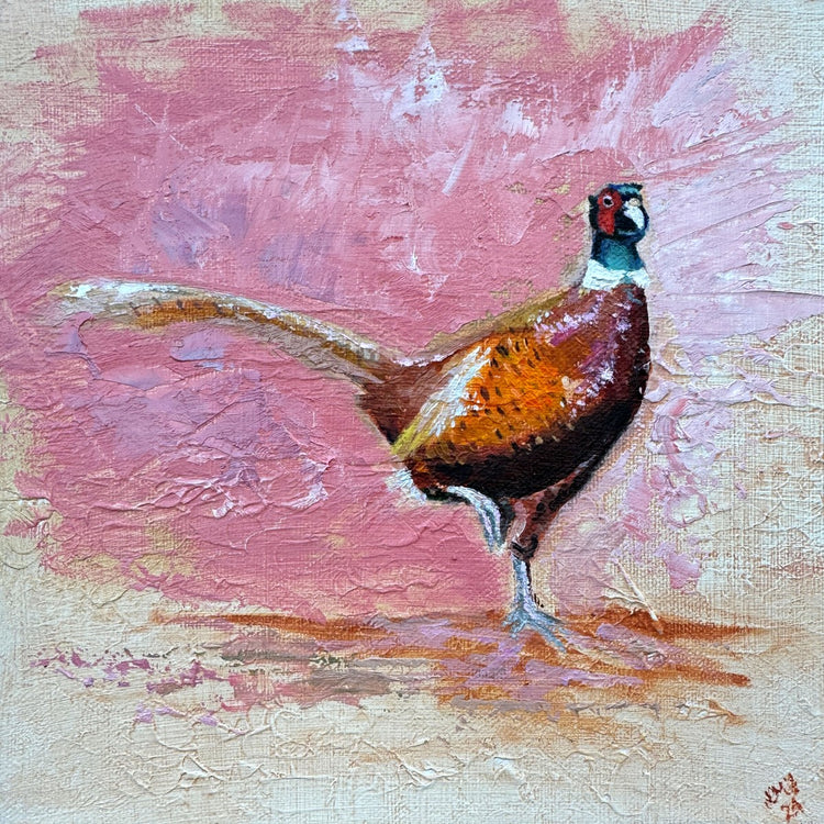 Playful Pheasant