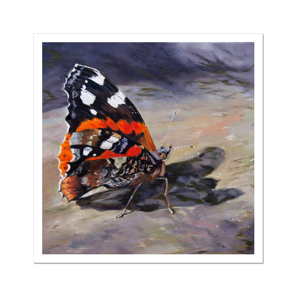 Red Admiral Butterfly Art Print - lorrainefield