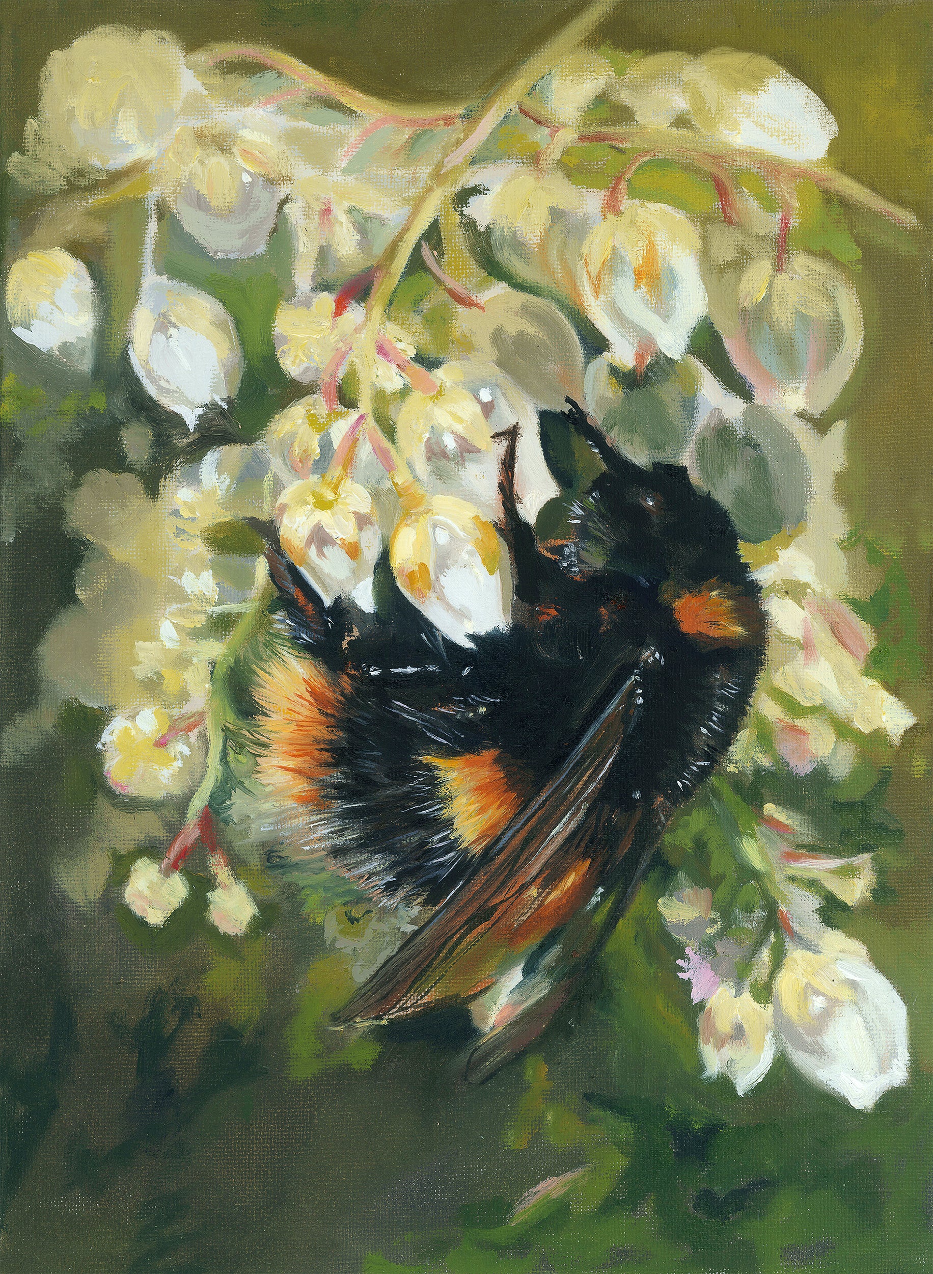 Bumble Bee fine art print