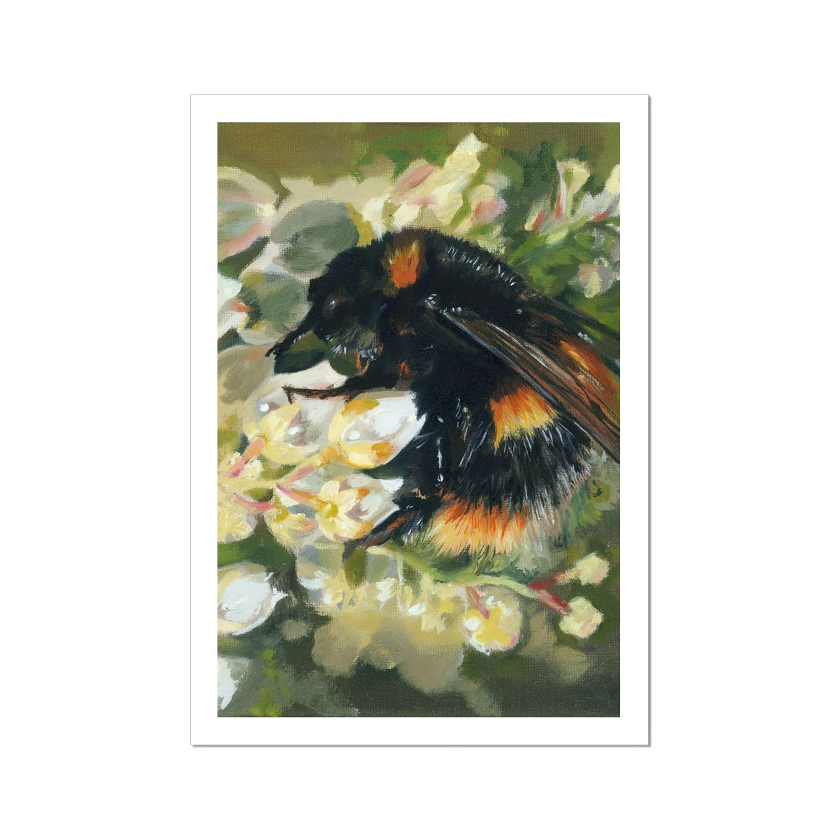Bee on Honeysuckle Fine Art Print - lorrainefield
