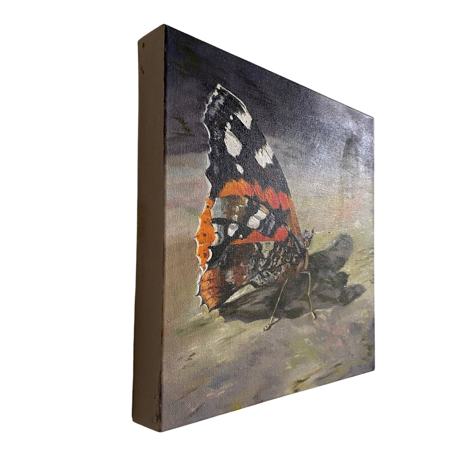Sun Kissed Red Admiral Butterfly Oil Painting - lorrainefield