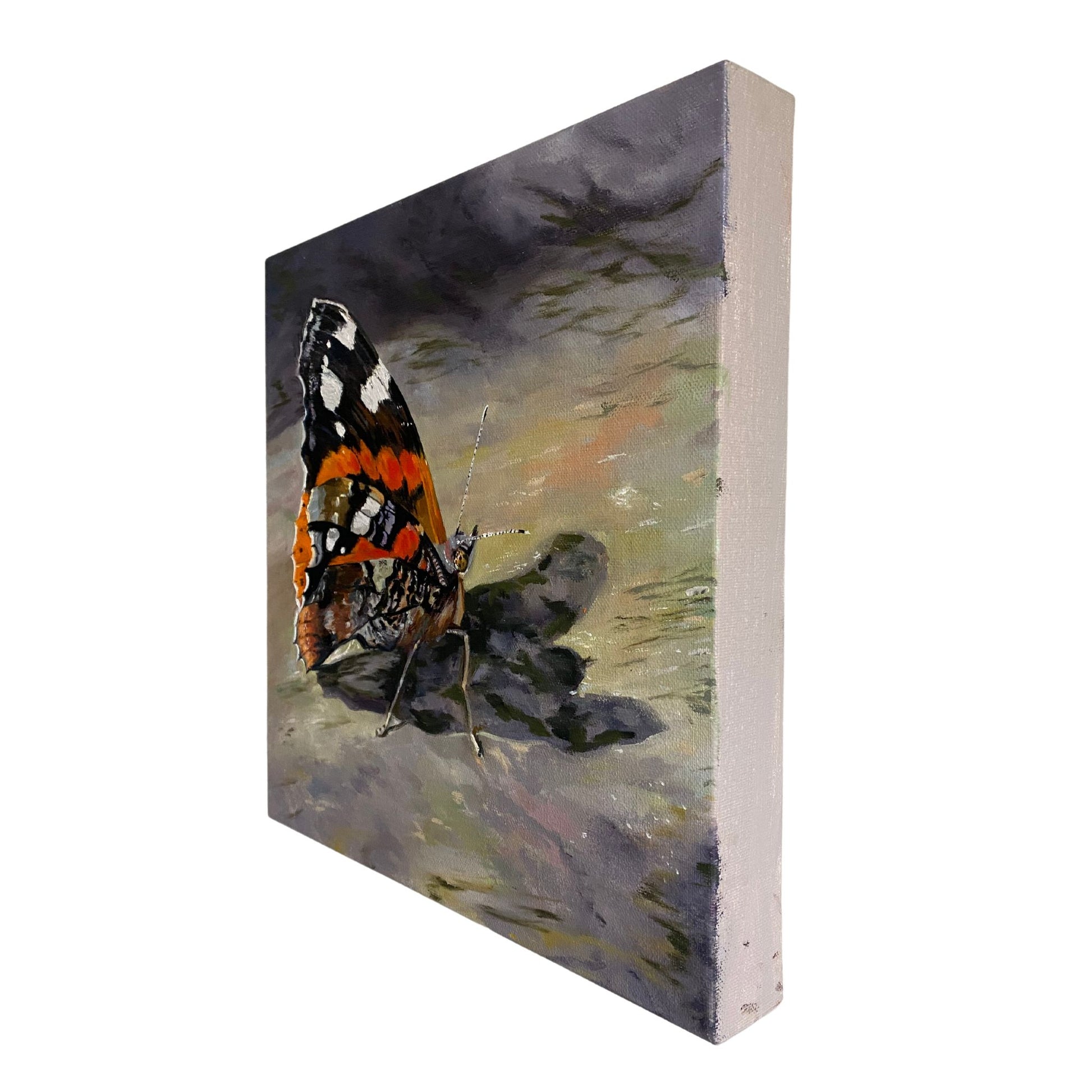 Sun Kissed Red Admiral Butterfly - Original Oil Painting - lorrainefield