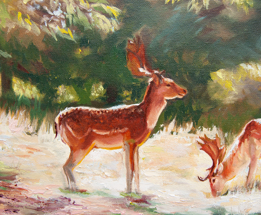 Deer in Sunlight, Charlecote Park - Original Oil Painting - lorrainefield
