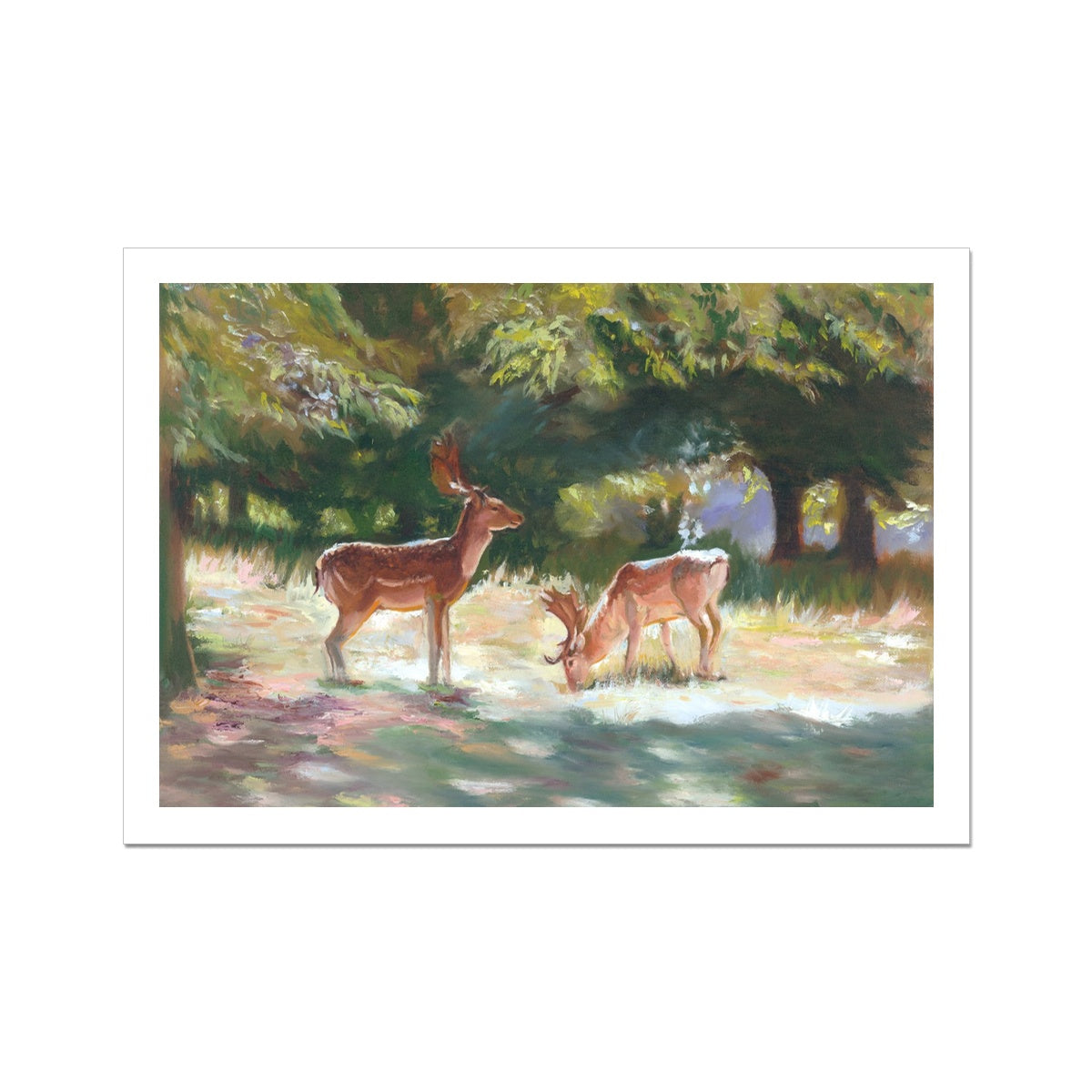 Deer at Charlecote Park Fine Art Print - lorrainefield