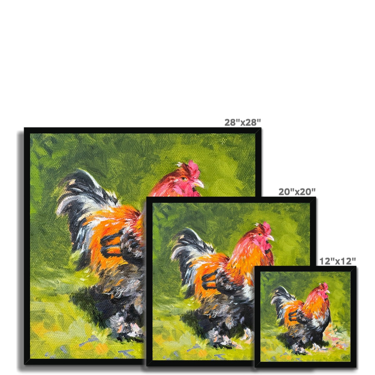 Norman the Cockerel Fine art print size selections