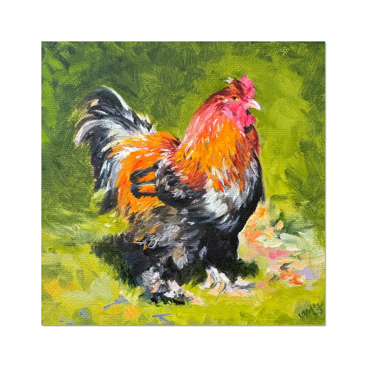 A fine art print of a cockerel with a predominantly green background, featuring the bird in a natural setting.