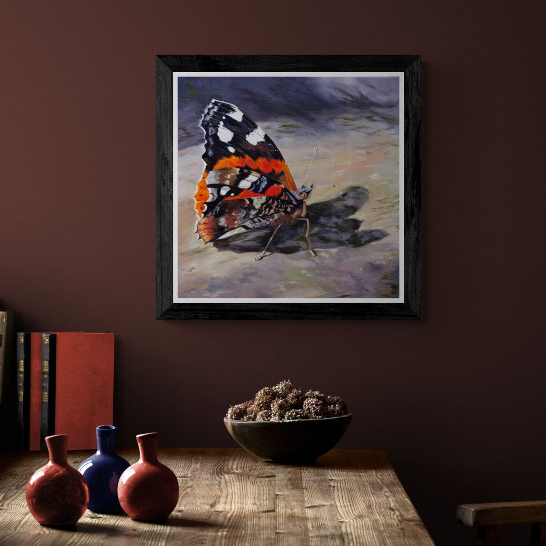 Red admiral butterfly fine art print in black frame option displayed above wooden desk