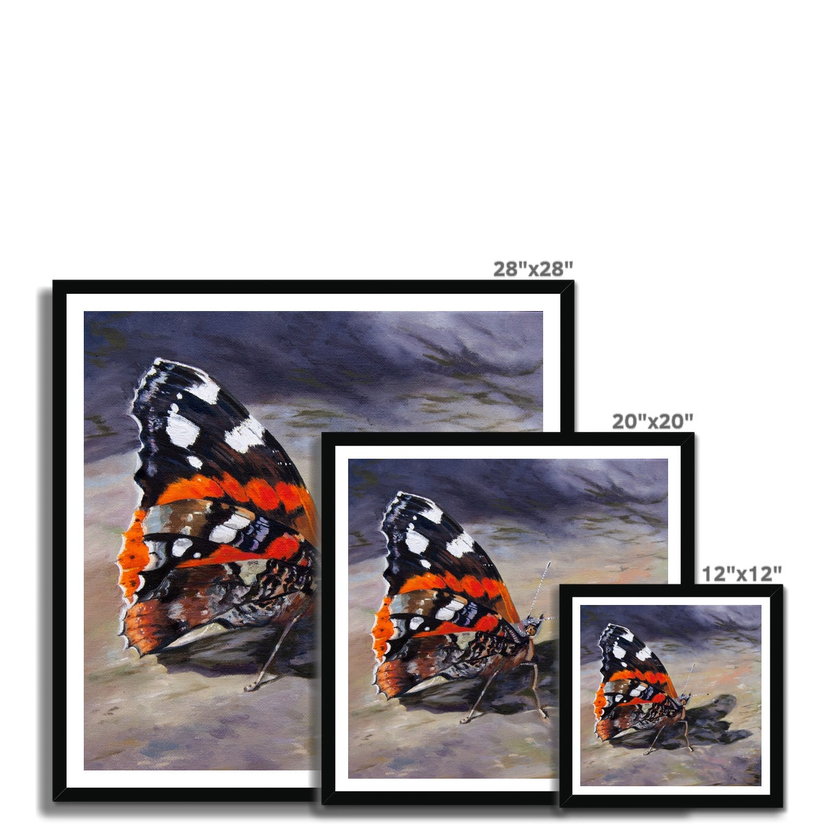 Butterfly art prints with dimensions displayed.