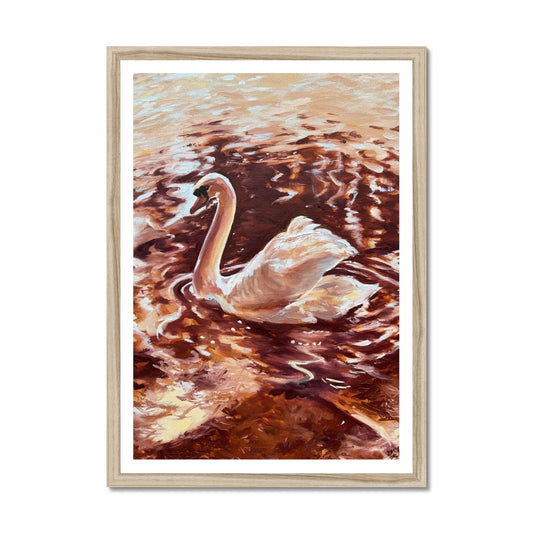 “Becoming Grace” swan fine art print in a natural wood frame, featuring warm copper reflections on the River Avon and a peaceful, elegant atmosphere inspired by Stratford-upon-Avon.