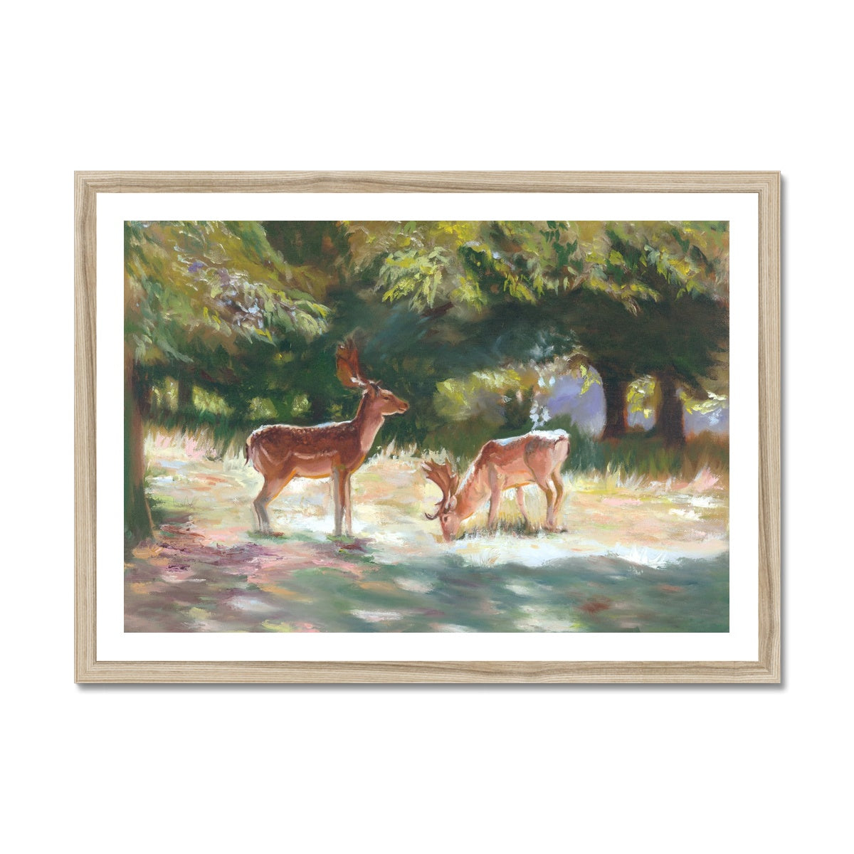 Deer at Charlecote Warwickshire  Fine Art Print - lorrainefield