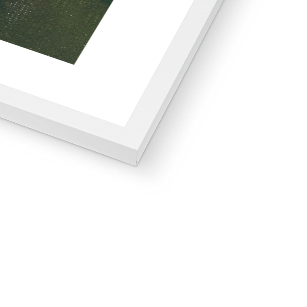 Bee on Honeysuckle Fine Art Print close up of white frame option