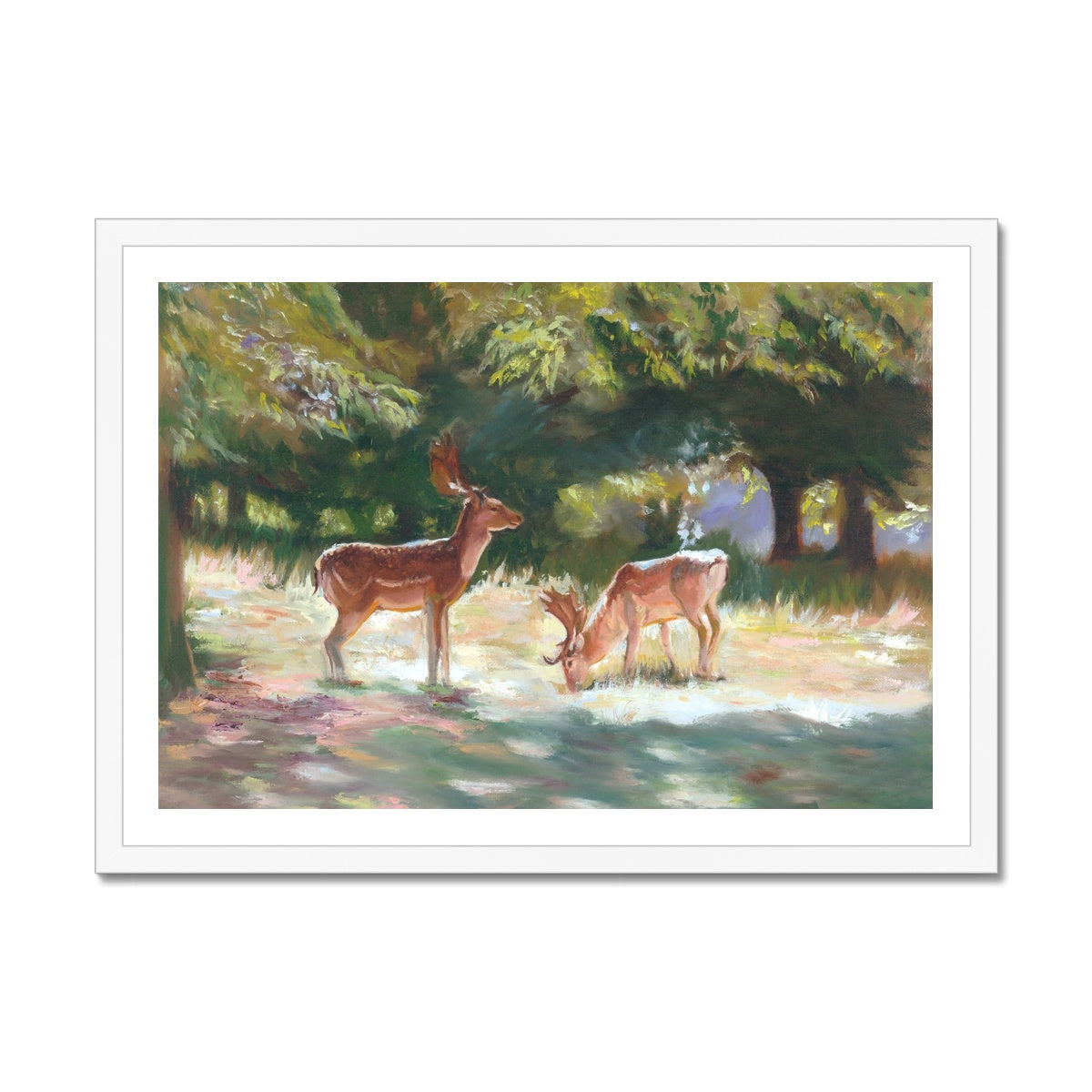 Deer at Charlecote Park Art Print in white frame option