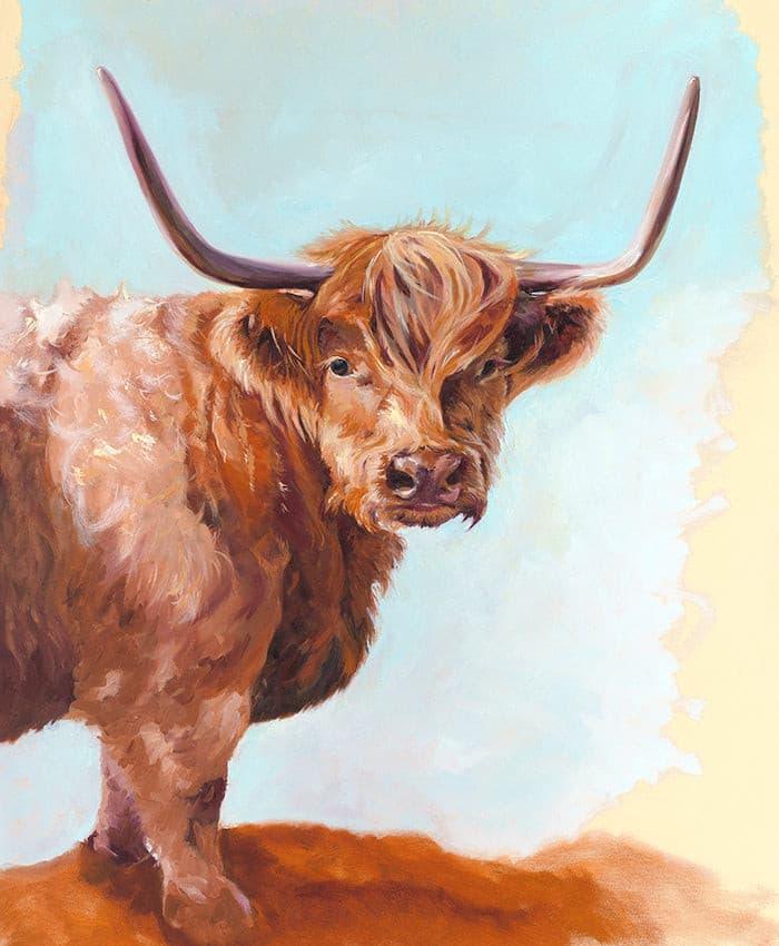 Highland Cattle - Cornwall - lorrainefield
