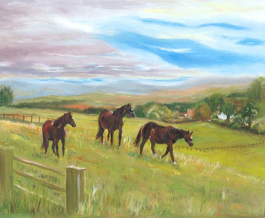 Horse Trio Fine Art Print - Wilmcote - lorrainefield