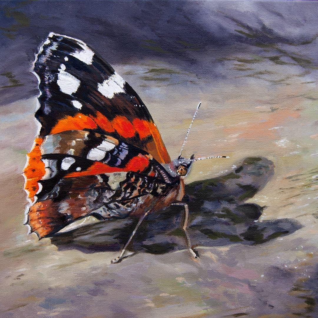 Red Admiral Butterfly Oil Painting close up - lorrainefield